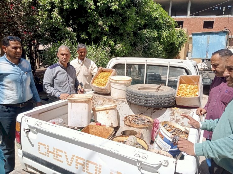 ضبط 300 كيلو سردين غير صالح للأستهلاك الآدمي في حملة ببني سويف