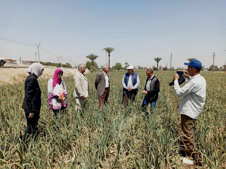 المركزية لمكافحة الافات تستعد للموسم الصيفي