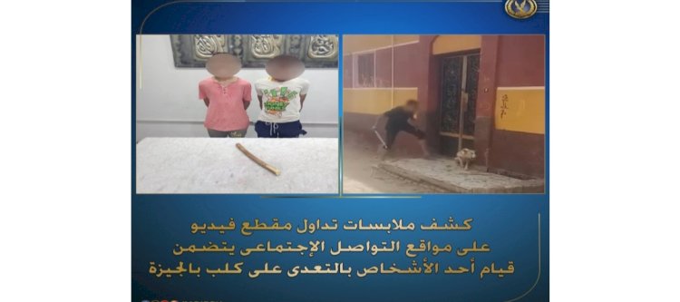ضبط مرتكبي واقعة  التعدى على كلب بعصا بالجيزة