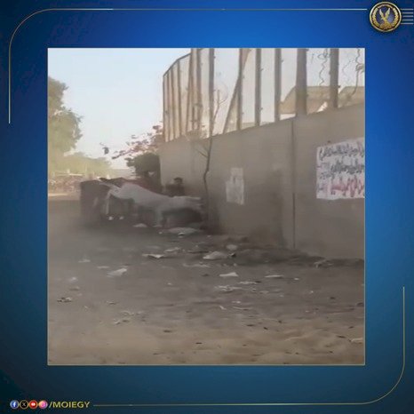 نكشف ملابسات فيديو قيام مواطن بالتعدى بالضرب على دابة بالجيزة