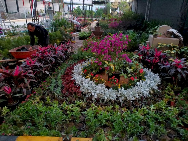 "بالصور" الزراعة تتابع الاستعدادات النهائية لانطلاق معرض زهور الربيع بالدقي