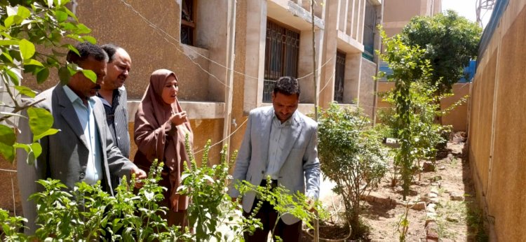 مدير تعليم أبوتشت يتفقد المدارس وتفعيل مبادرة  ازرع شجرة