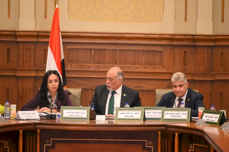 وزيرة التضامن تشارك في اجتماع لجنة التضامن والأسرة بمجلس النواب