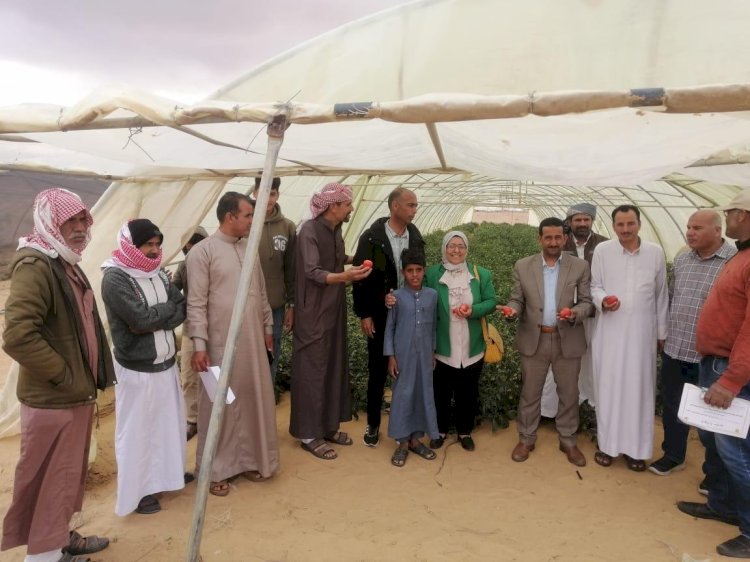 بحوث الصحراء ينظم ورشة علمية حول الزراعة العضوية بمحطة المغارة بشمال سيناء