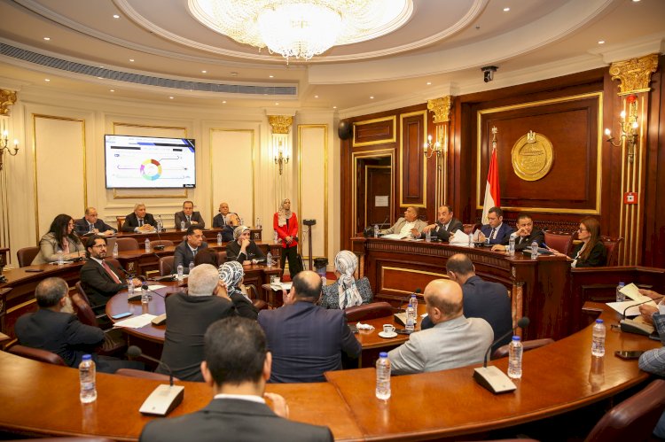 وزير قطاع الأعمال يستعرض استراتيجية عمل الوزارة أمام لجنة الصناعة بمجلس النواب