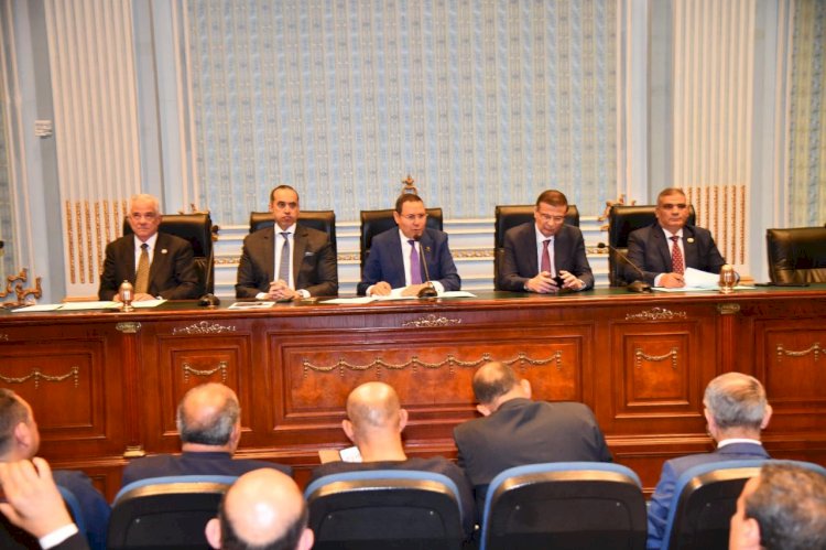 فاروق أمام لجنة الزراعة والري بالنواب الحكومة ملتزمة بسداد مستحقات مزارعي القطن