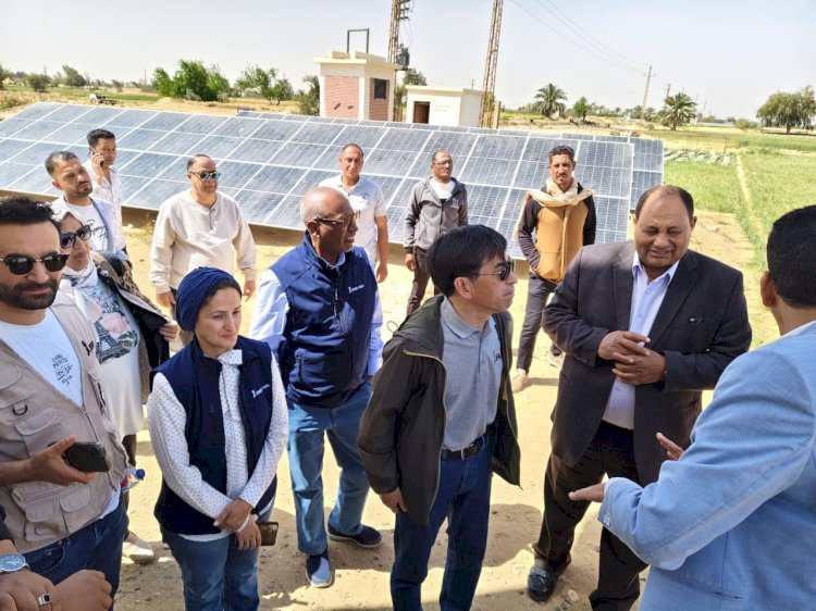 نائبا الزراعة والإيفاد يتفقدان مشروعات الاستثمارات الزراعية المستدامة بالمنيا
