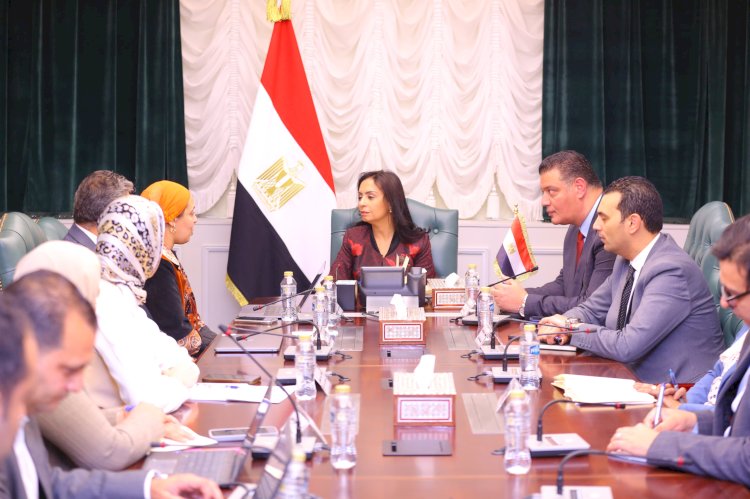 وزيرة التضامن  تبحث تطوير مؤسسات الرعاية الاجتماعية حياة كريمة وويل سبرنج