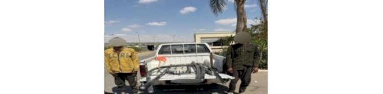 ضبط مرتكبي السرقات بالاكراه بالقاهرة