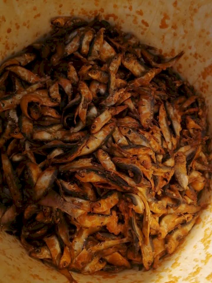 تموين كفرالشيخ ضبط فسيح وأسماك مملحة فاسدة ولحوم مجمدة وسلع فاسدة