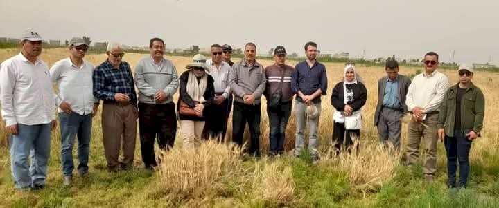 الارشاد الزراعي نفذ خطة طموحة لتكثيف الأنشطة الإرشادية والتدريبية