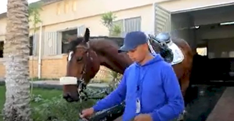 إستضافه وادى الفروسية التابع لوزارة الداخلية بطولتين بالتنسيق مع الإتحاد المصرى للفروسية