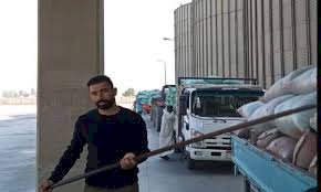 شون وصوامع المنيا تستقبل 25845 طناً و207 كيلوجراماً من القمح ضمن موسم حصاد 2025