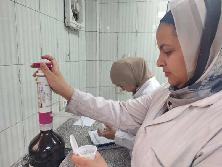 الزراعة تتابع عمليات حصاد البطاطس  في أجازة اعياد سيناء