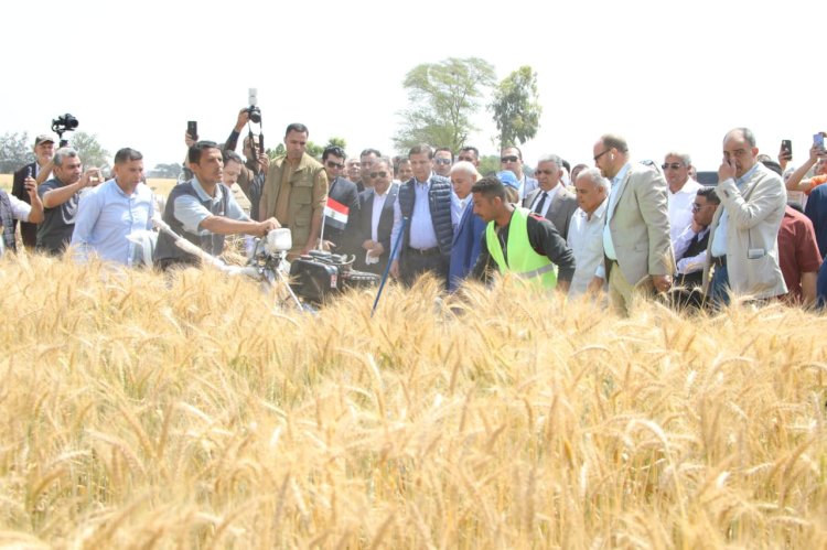 وزير الزراعة ومحافظ الشرقية يفتتحان موسم حصاد القمح