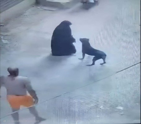 كشف مقطعين فيديو قيام أحد الأشخاص بدفع كلب للهجوم على سيدة بالجيزة