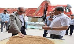 محافظ المنيا: توريد 68 ألف طن من القمح للشون والصوامع ضمن موسم حصاد 2025