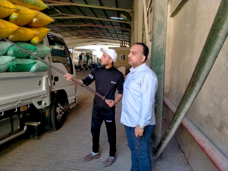 استلام محصول القمح المحلى لسنة ٢٠٢٥  بمطاحن كفرالشيخ