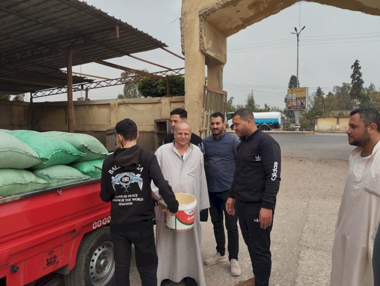 استلام الاقماح المحلية بكفر الشيخ من خلال  26 موقعا