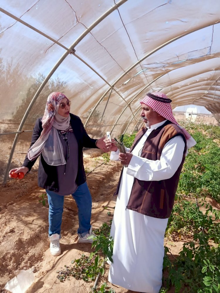 بحوث الصحراء يواصل المرور الميداني على التجمعات الزراعية بسيناء لدعم المزارعين