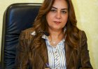 بدء التشغيل التجريبي لمجمع مجازر السويس العام بتكلفة 71 مليون جنيه