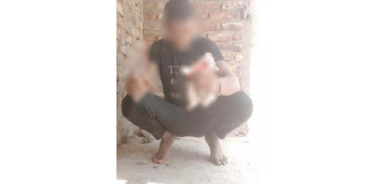 القبض علي مواطن سوهاجي تعدى على "هرة" بسلاح أبيض