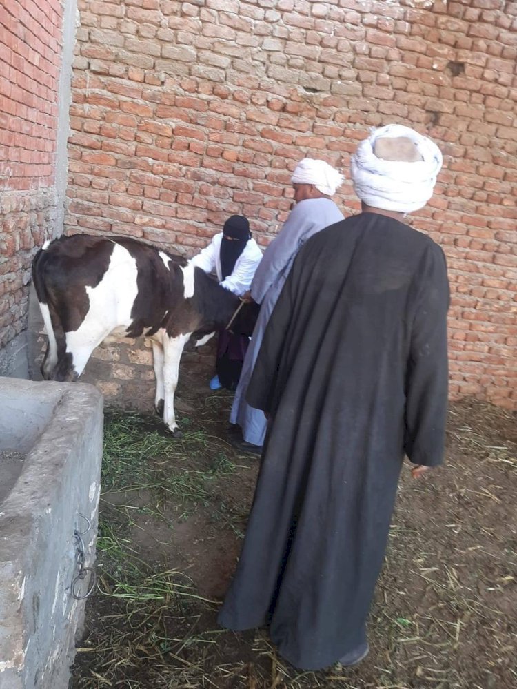 "الزراعة" تستعرض جهود الخدمات البيطرية ابريل الماضي