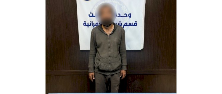 حقيقة فيديو تضرر سيدة من أحد الأشخاص لقيامه بربط عدد من القطط بالجيزة