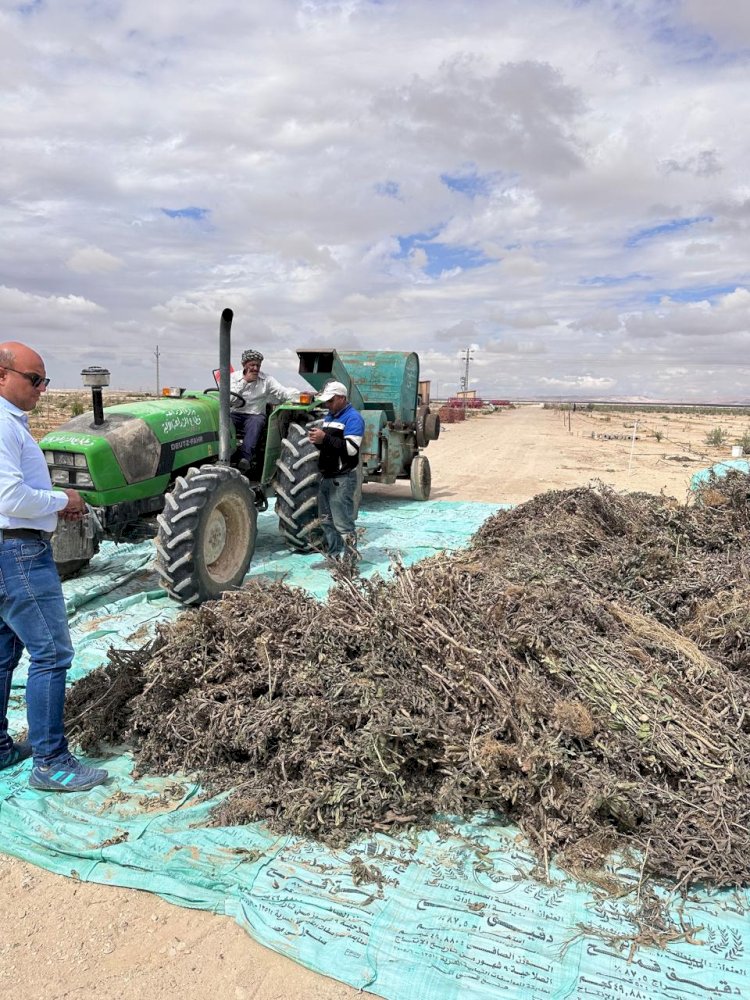 وزير الزراعة يتابع  بحوث الصحراء و الزراعة الآلية  لحصاد القمح والشعير  بسيناء