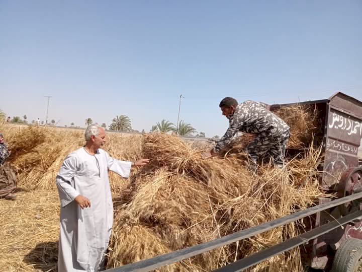 معدلات توريد الاقماح تسير بشكل طبيعي ونتوقع توريد 4 مليون طن من الاقماح