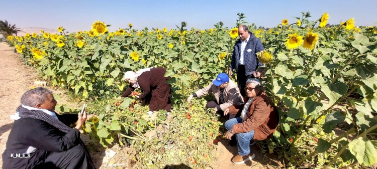 المركزية للإرشاد الزراعي تنفذ أكثر من 200 نشاط إرشادي خلال ابريل الماضي