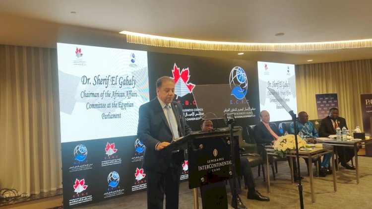 مجلس الأعمال المصري الكندي يقيم ندوة حول العلاقات الاقتصادية المصرية الأفريقية