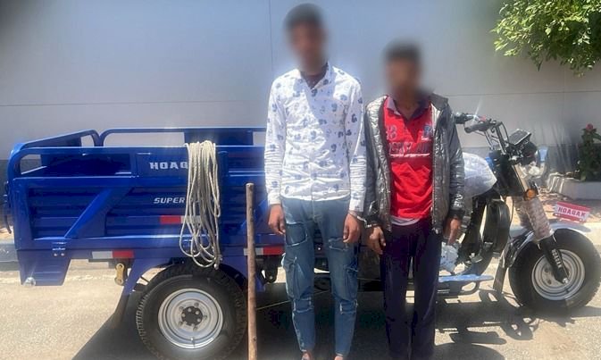 نكشف فيديو  العصا الخشبية بالدقهلية