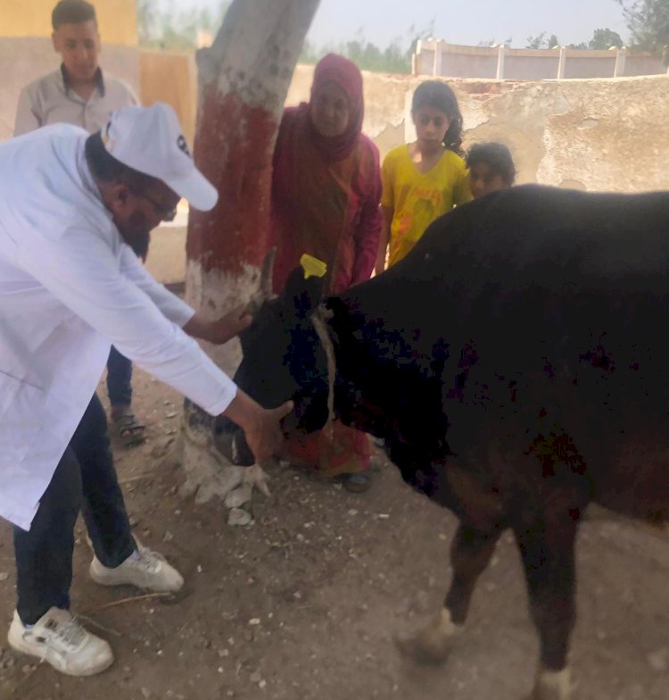 قافلة بيطرية بمركز شباب ابو عليوة الشرقية  بكفر الشيخ