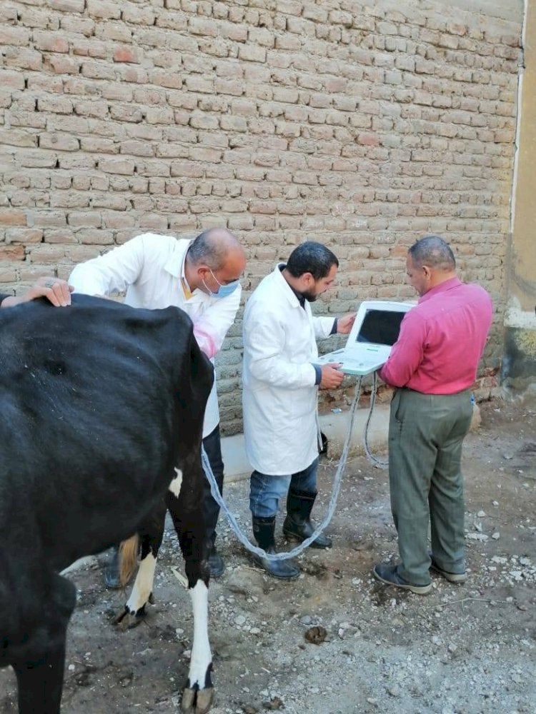 "الخدمات البيطرية" تفحص أكثر من 13 ألف رأس ماشية خلال ابريل الماضي
