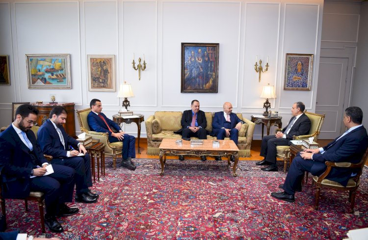 وزير الخارجية يستقبل رئيس المفاوضات الحكومية لإصلاح مجلس الأمن