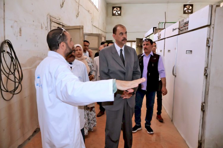 محافظ سوهاج يتفقد محطة إكثار الدواجن بحي غرب ومشروع تسمين الدواجن بالأحايوة شرق