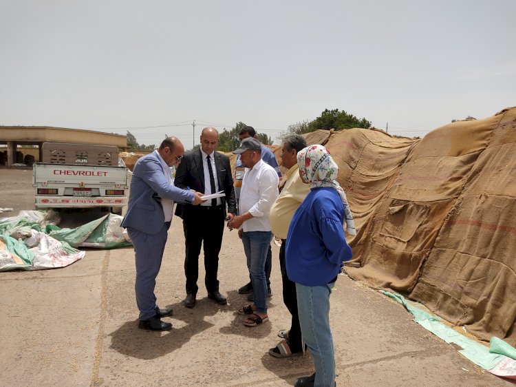 محافظ كفر الشيخ يتابع توريد حصاد القمح للموسم 2025م