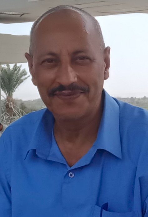 قراءة في رواية سحر محمود علي  "لا مساس"  بقلم  محمد عبد القادر التوني