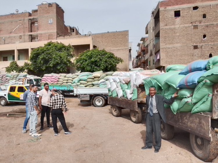 محافظ المنيا : توريد 390 ألف طن من القمح بصوامع المحافظة منذ بدء موسم 2025