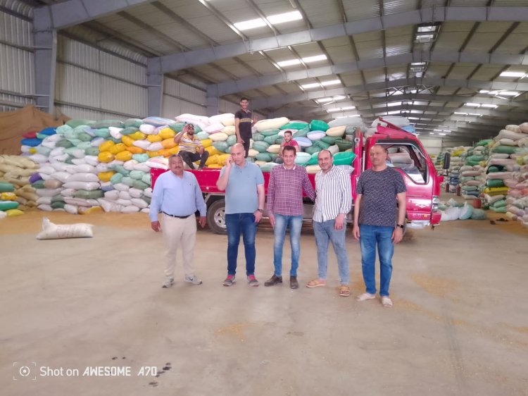 تسليم ١٩٥١٩٩طن و٨١ كجم من الاقماح المحلية لمطاحن كفرالشيخ بإشراف وزارة التموين