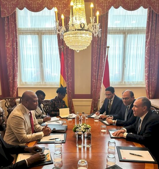 وزير الخارجية ونظيره الغاني يبحثان التبادل التجاري