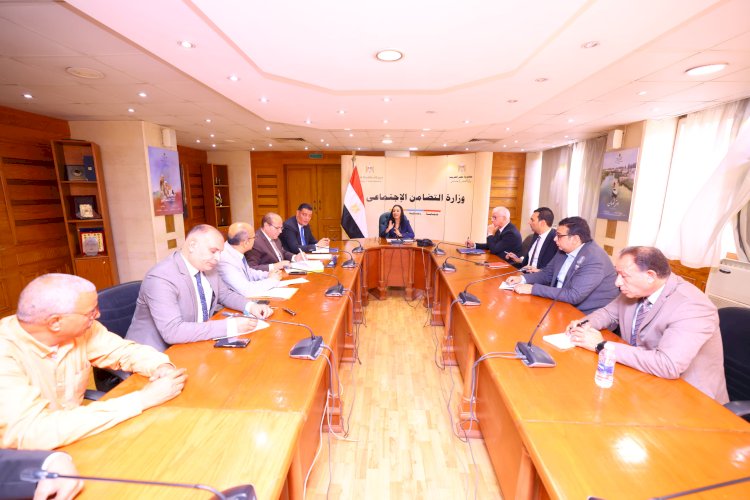 وزيرة التضامن تناقش خطة تطوير مؤسسات الدفاع الاجتماعي
