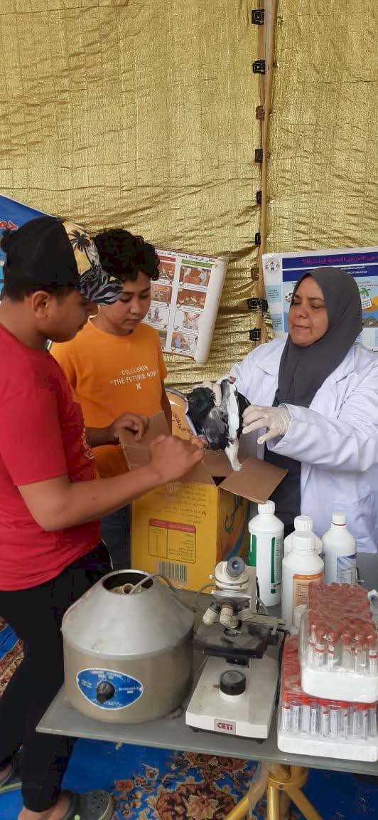 "الزراعة" تطلق قوافل بيطرية مجانية في قرى 10 محافظات