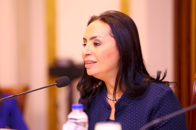 مايا تشارك في اجتماع لجنة المشروعات بمجلس النواب