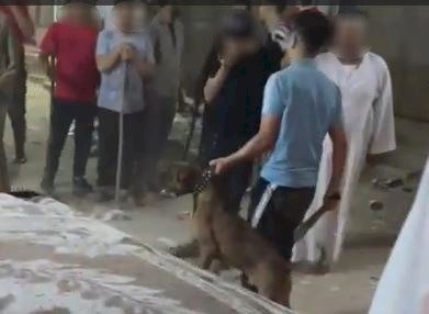 ضبط شخصين لقيامهما بممارسة أعمال البلطجة بالجيزة