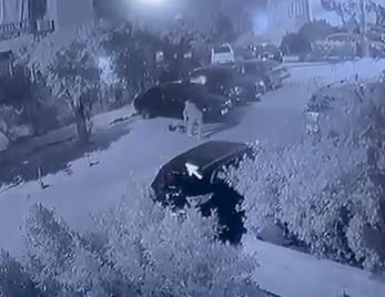 القبض علي قاتل كلب بالقاهرة