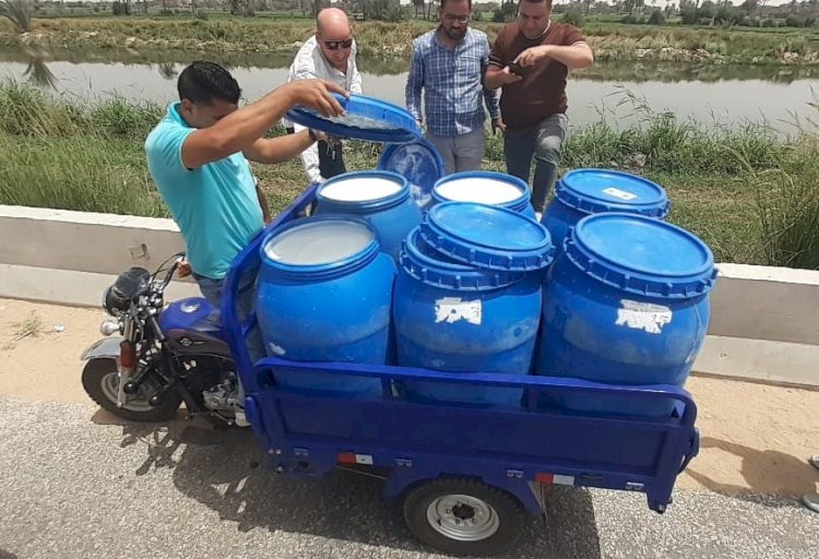 ضبط  لبن غير صالح للإستهلاك وعصائر منتهية الصلاحية في حملة تموينية جنوب بني سويف