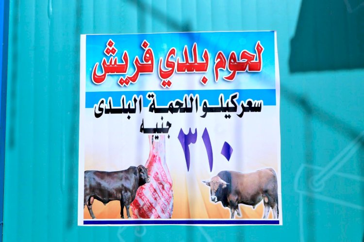 محافظ سوهاج يفتتح منفذ حياة كريمة لبيع اللحوم والسلع الغذائية بأسعار مخفضة