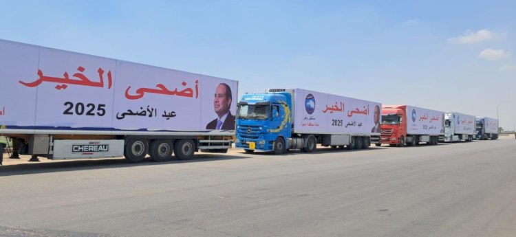 مستقبل وطن يطلق مبادرة أضحى الخير قبل عيد الأضحى